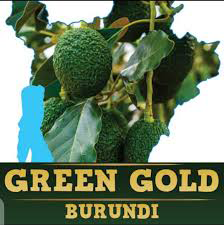 GREEN GOLD BURUNDI Logo