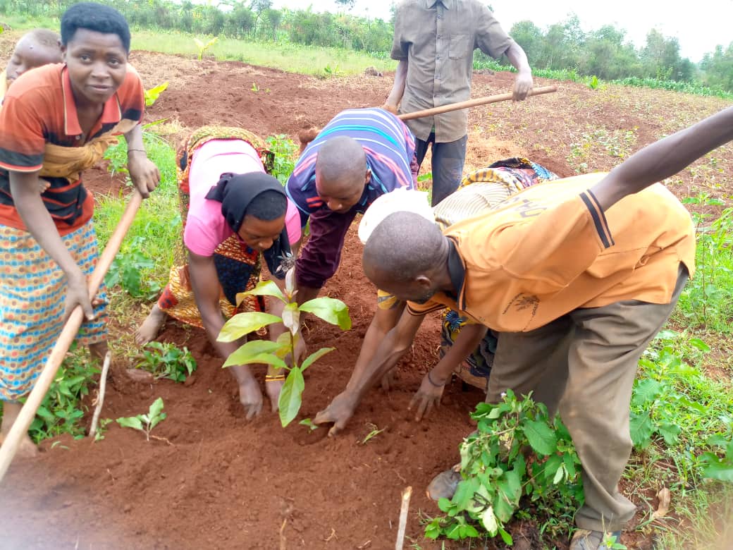 Cultivating the Future Together: The Strength of Collective Action in a Rural Community