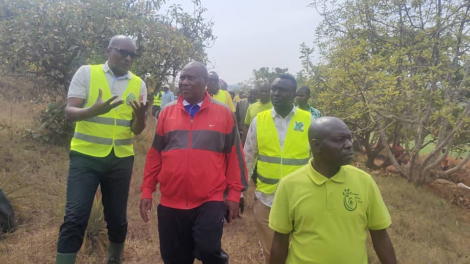 GREEN GOLD BURUNDI AND GITEGA PROVINCIAL LEADERS FORM PARTNERSHIP TO BOOST AVOCADO REGENERATION