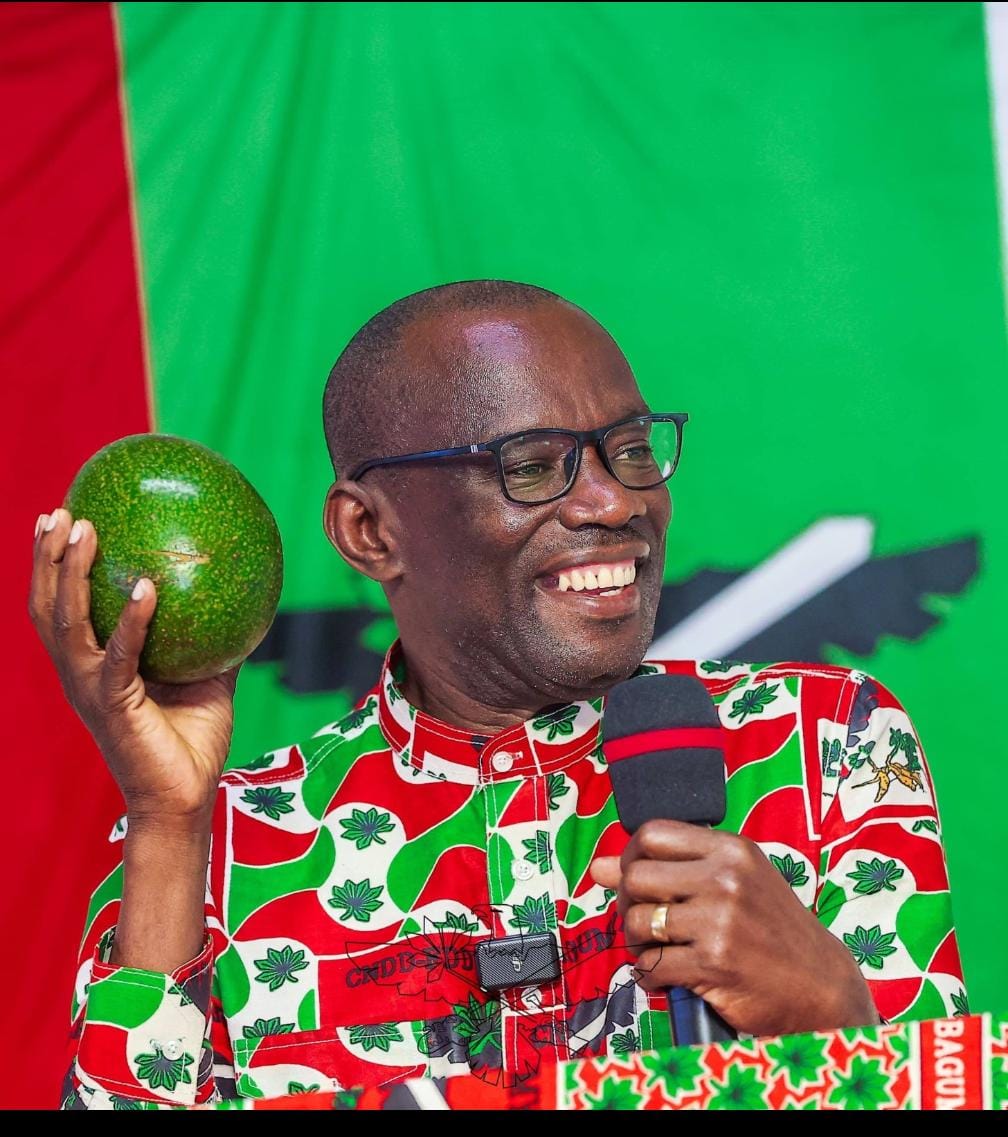 GROWING GREEN GOLD: BURUNDI’S STRATEGIC PUSH FOR AVOCADO FARMING